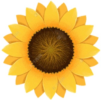 葵花宝典
